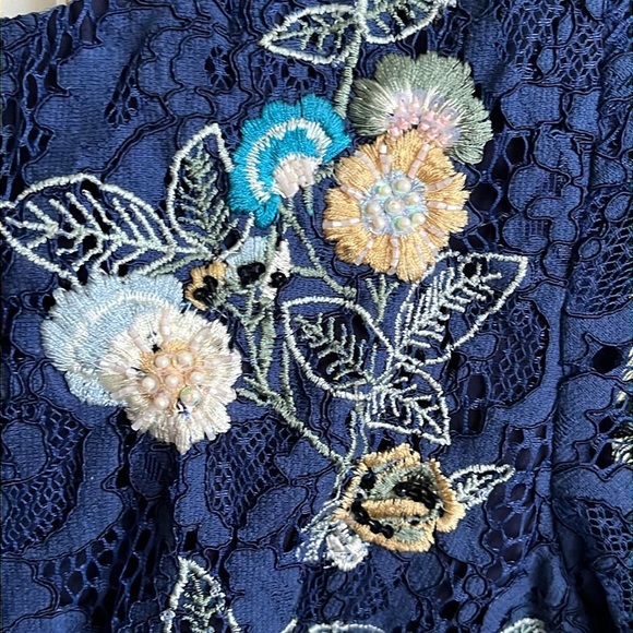 Modcloth Always Lovely Lace Embroidered Beaded Floral Dress A-Line Blue size XS - Picture 6 of 16
